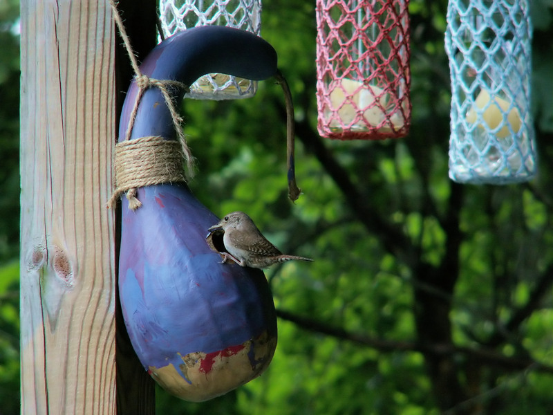 waste collection appliances